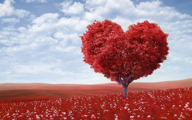 strom s červenou korunou ve tvaru srdce
